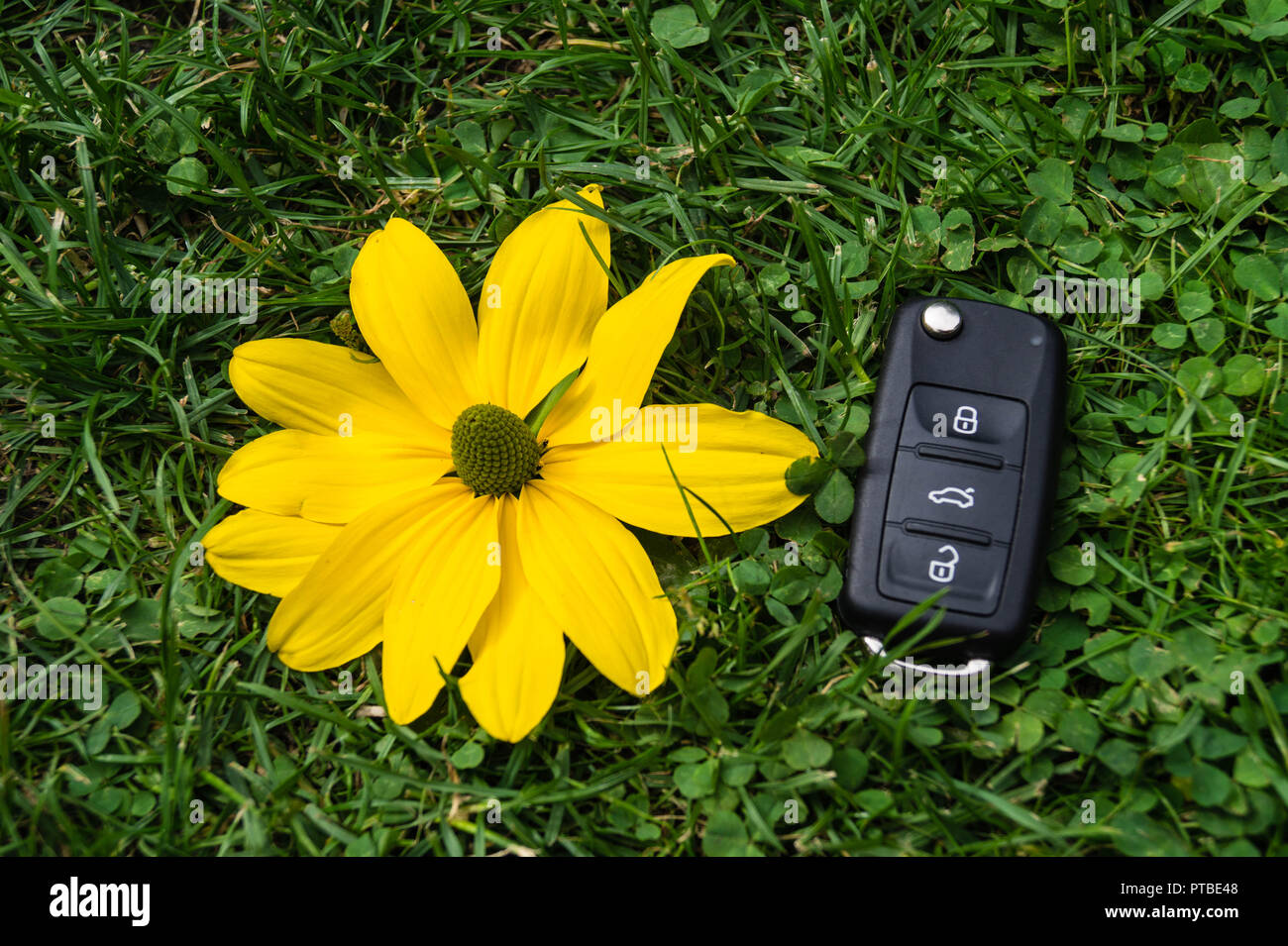 L'automobile électrique pour protéger la nature Banque D'Images