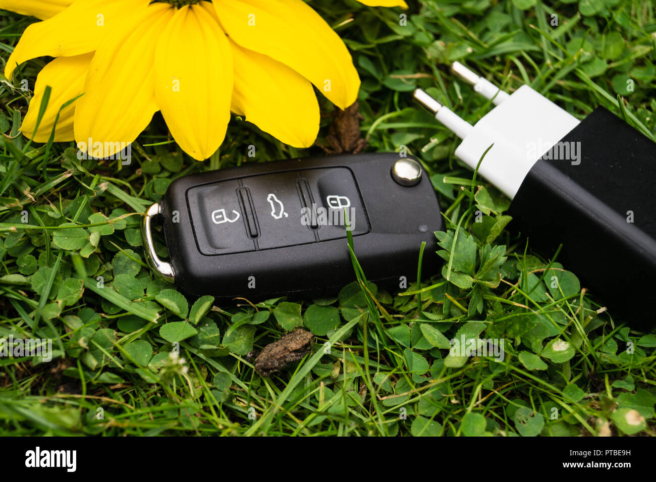 L'automobile électrique pour protéger la nature Banque D'Images