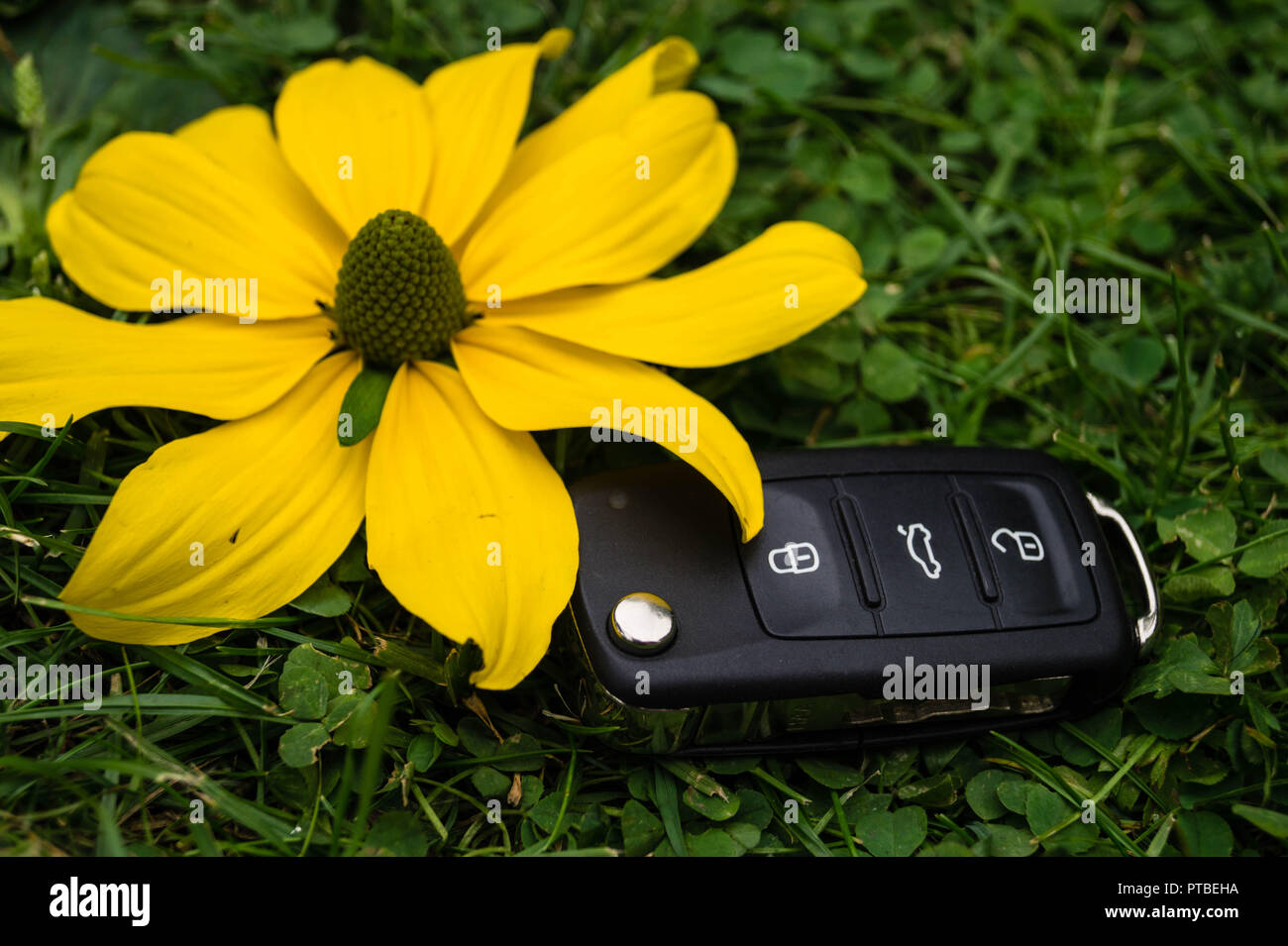 L'automobile électrique pour protéger la nature Banque D'Images