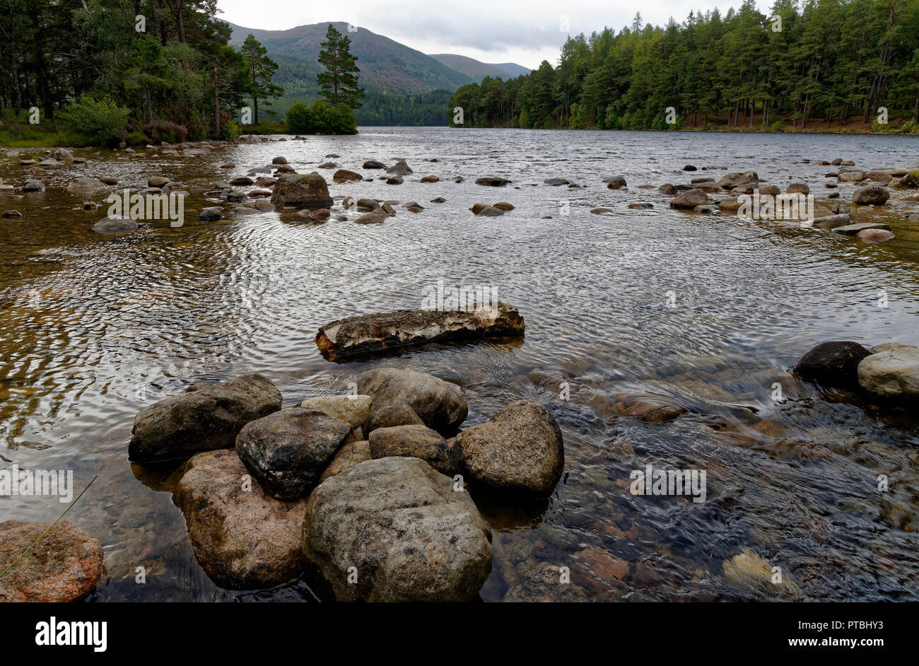 Loch an Eilein, Rothiemurchus Forest, Strathspey, Ecosse Banque D'Images