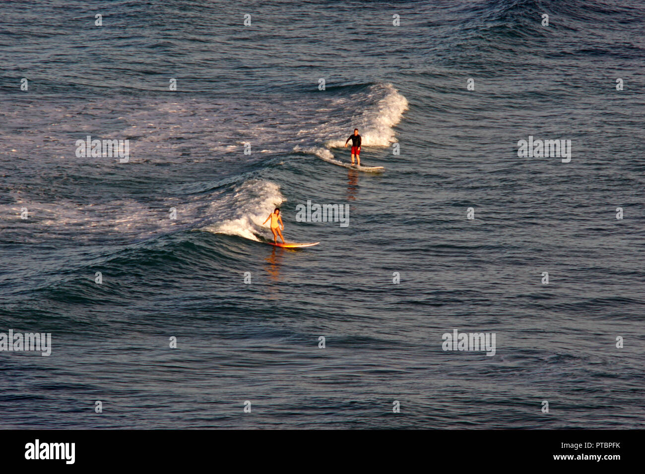 Surfeurs de Waikiki Beach Banque D'Images