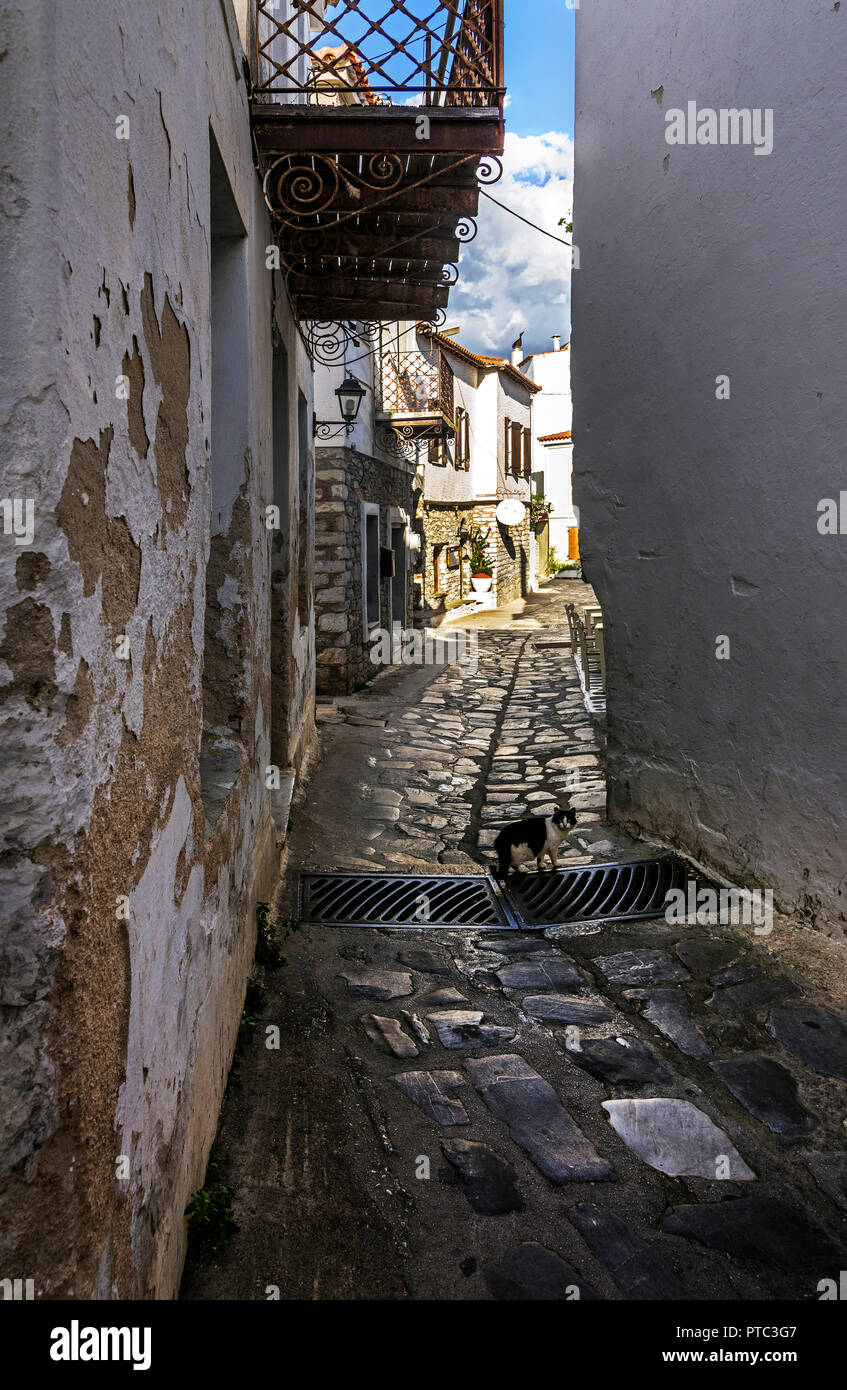 Une rue de la ville de Skiathos, Sporades du Nord de la Grèce. Banque D'Images