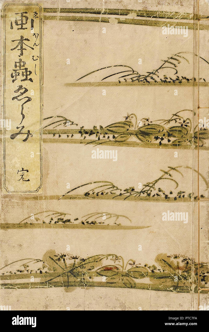 Kitagawa Utamaro, Ehon Mushi Erami 1788 estampes sur papier, Musée des beaux-Arts, Houston, USA. Banque D'Images