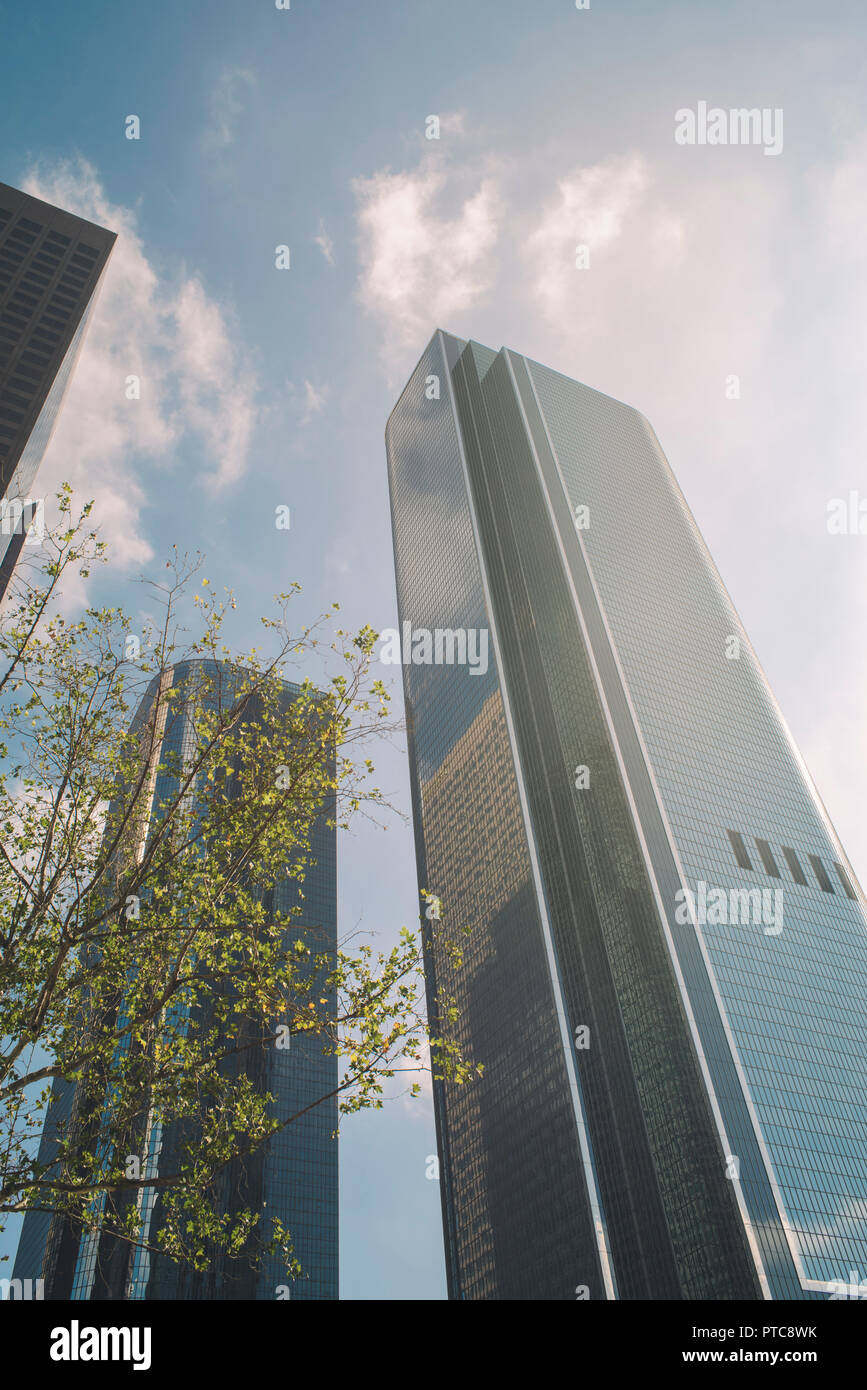 Voir dans une grande ville avec de grands sky scrapers et un arbre vert Banque D'Images