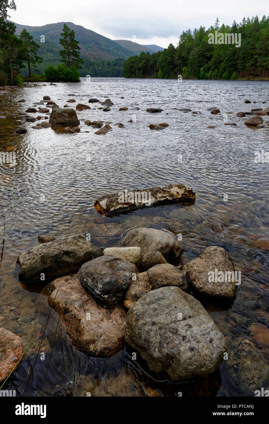 Loch an Eilein, Rothiemurchus Forest, Stratspey, Ecosse Banque D'Images