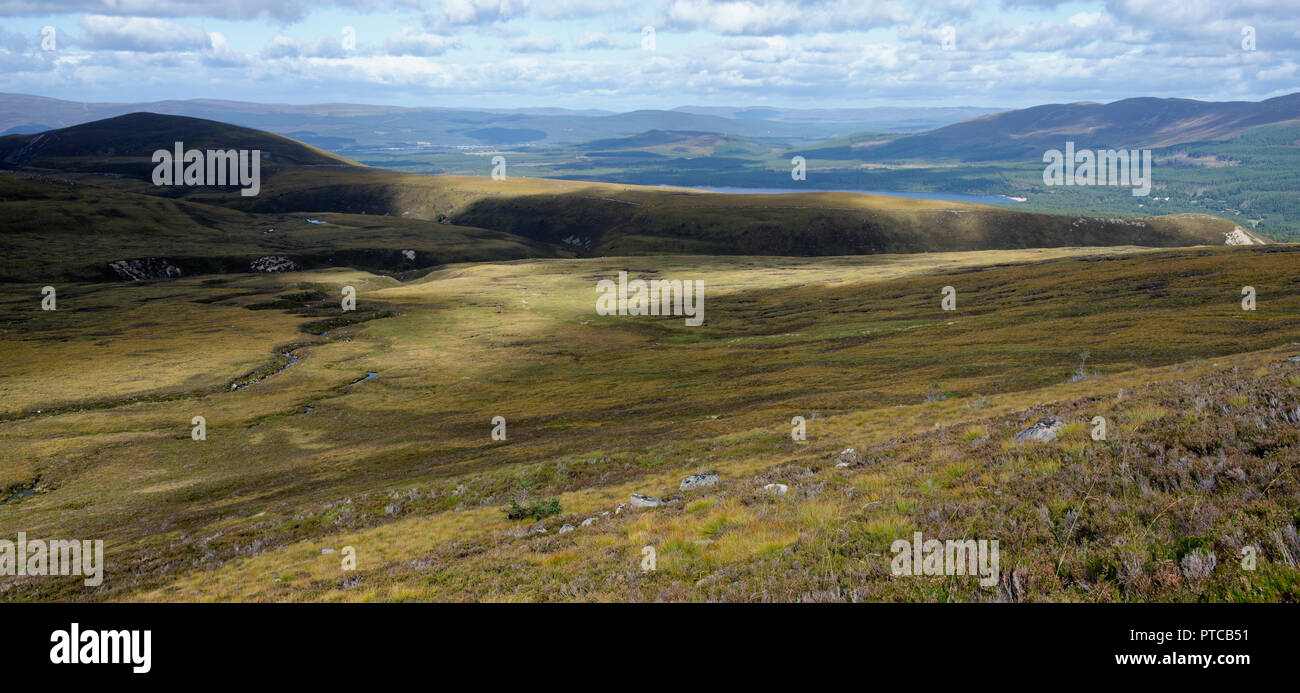 Vue sur sentier Sugar Bowl à Loch Morlich & Rothiemurchus Forest, Ecosse, Cairngorms Banque D'Images