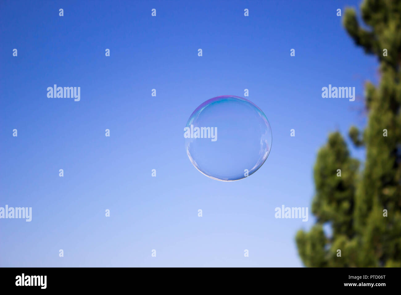 Une bulle de savon flotte dans le ciel Banque D'Images