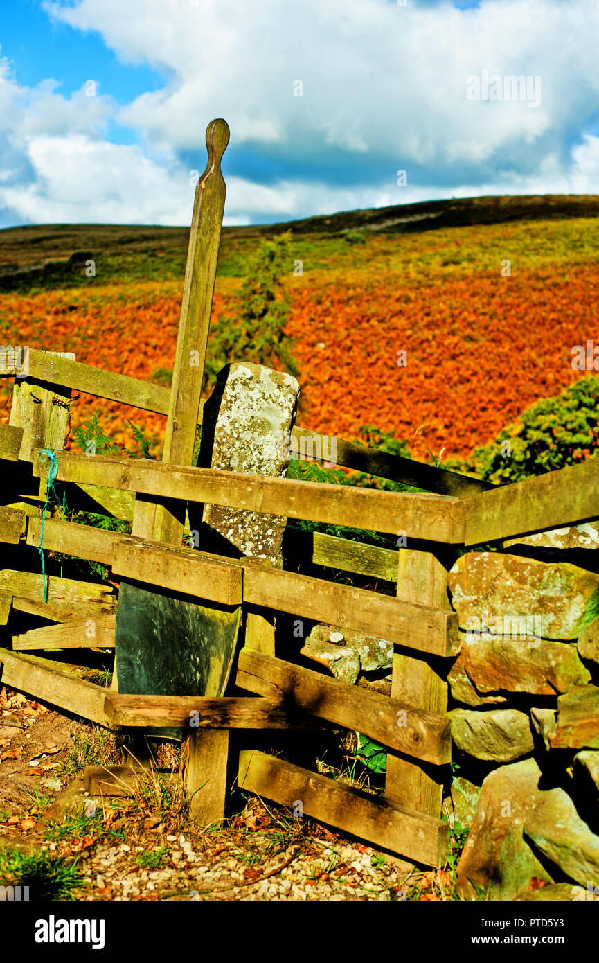 Orgelet à l'eau sentier Arche Goathland, North Yorkshire Moors Banque D'Images