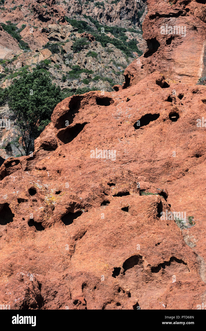 Corse, la réserve de Scandola, patrimoine mondial de l'Unesco, le Parc naturel régional de Corse Banque D'Images
