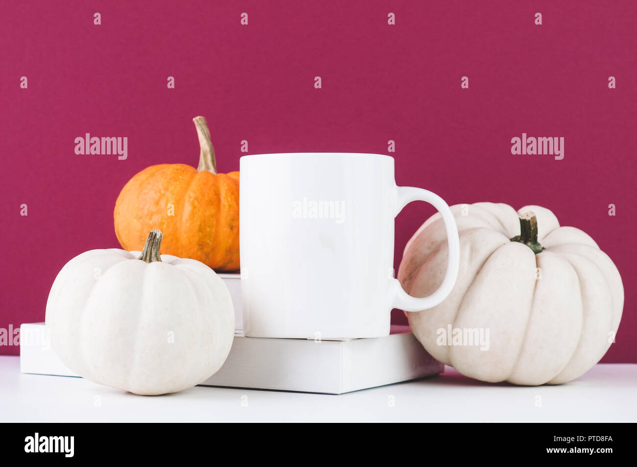 Mug blanc style maquette pour Thanksgiving avec citrouilles Banque D'Images
