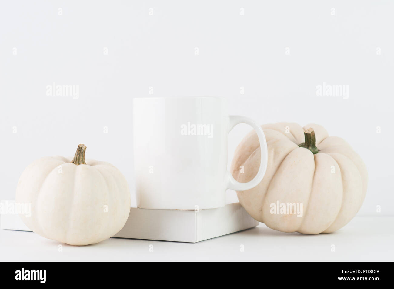 Mug blanc style maquette pour Thanksgiving avec citrouilles Banque D'Images