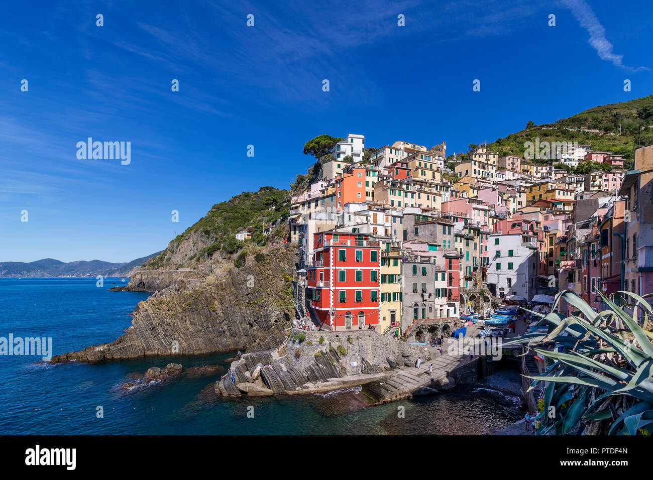 Belle vue de Riomaggiore sur une journée ensoleillée, Cinque Terre, ligurie, italie Banque D'Images