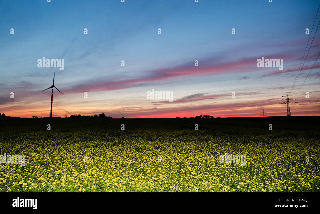 09 octobre 2018, Basse-Saxe, Sehnde : moutarde à fleurs jaunes se dégage avant que le ciel du matin, rougeâtre qui est décoloré par le lever du soleil. Les météorologues de prévoir le meilleur temps d'automne pour les prochains jours. Photo : Julian Stratenschulte/dpa Banque D'Images