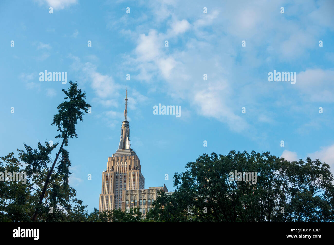 Nature et new york city skyline avec ciel bleu jour Banque D'Images