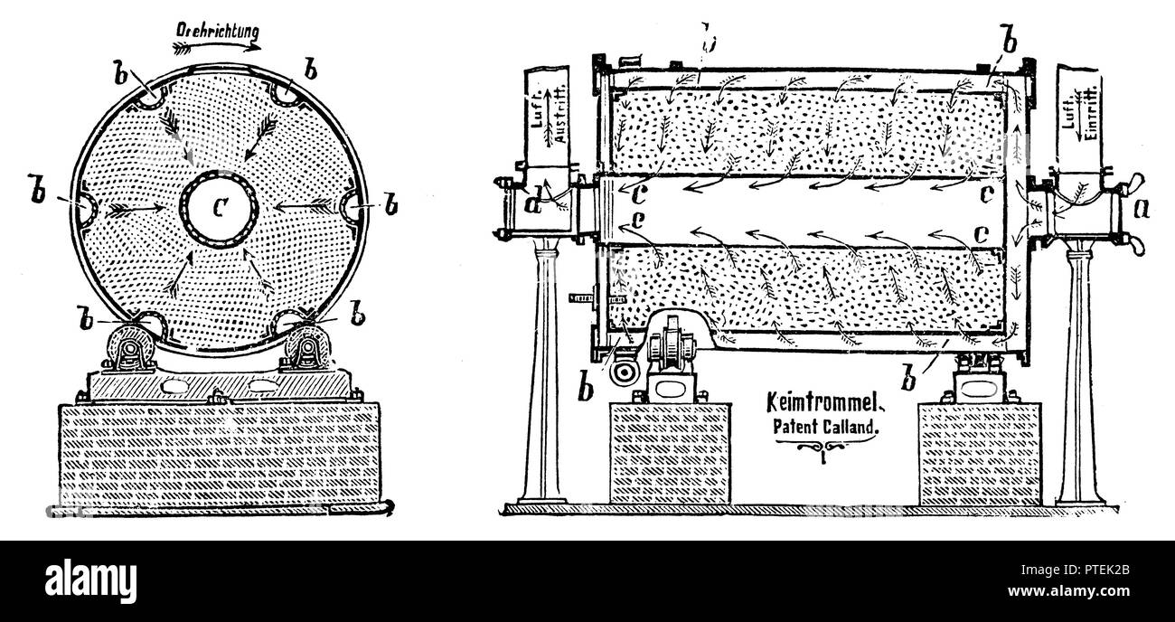 Tambour de germination (à gauche : section transversale, à droite : longue section), anonym 1900 Banque D'Images