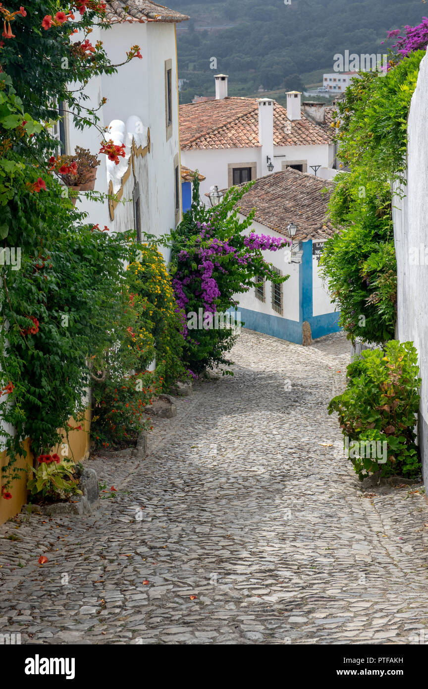 Obidos, ville historique, patrimoine de l'UNESCO du district de Leiria, Portugal Banque D'Images