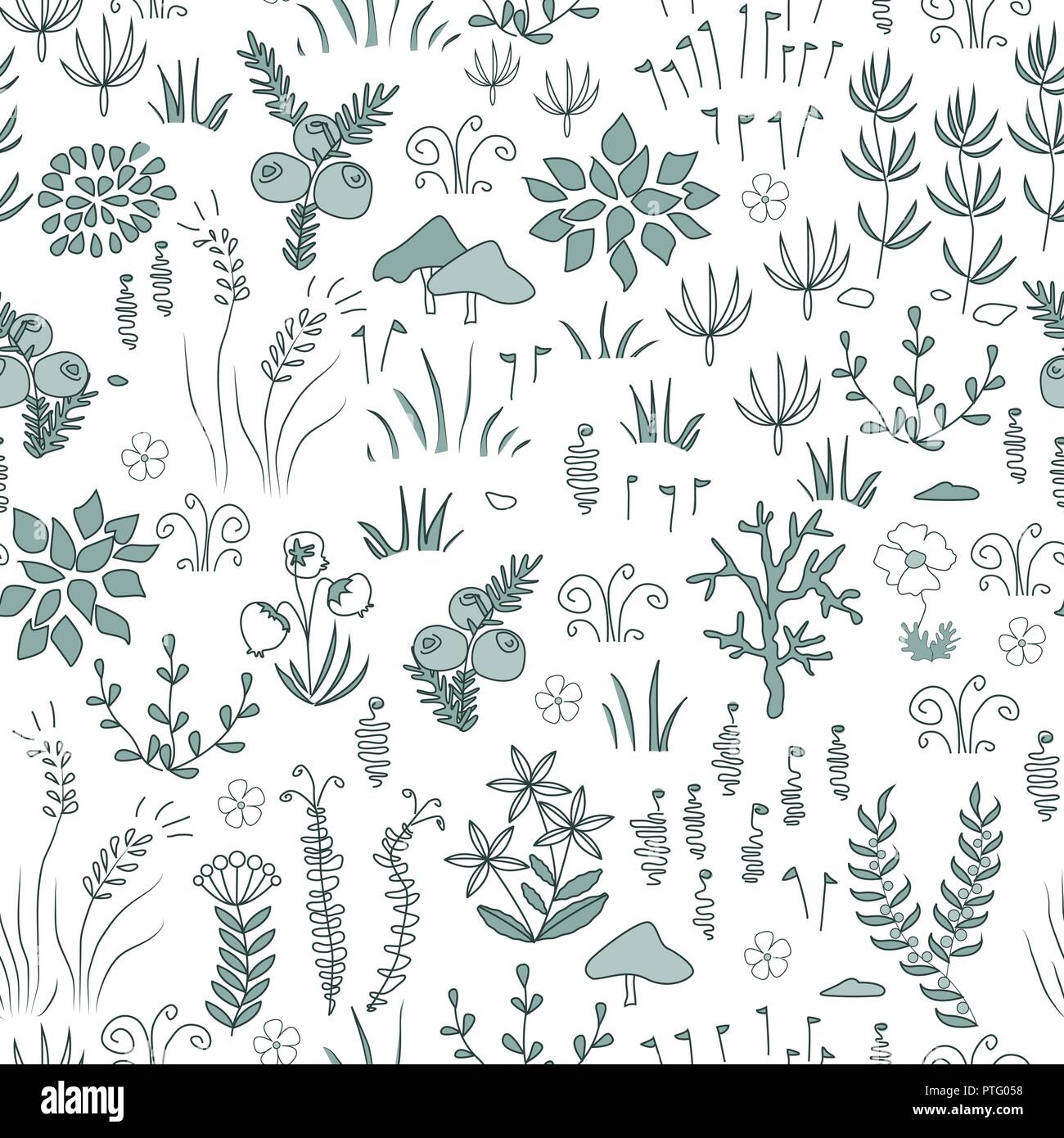 Vector floral moderne modèle transparent avec le nord de l'éléments de la flore. La toundra, design nordique, des plantes, des baies et des fleurs Illustration de Vecteur