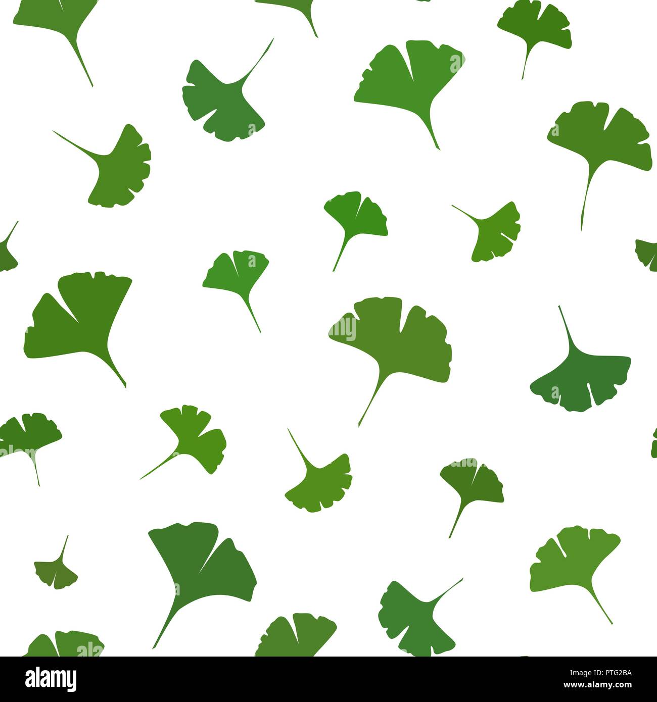 Feuilles de ginkgo motif transparent sur fond blanc. Vector illustration Illustration de Vecteur