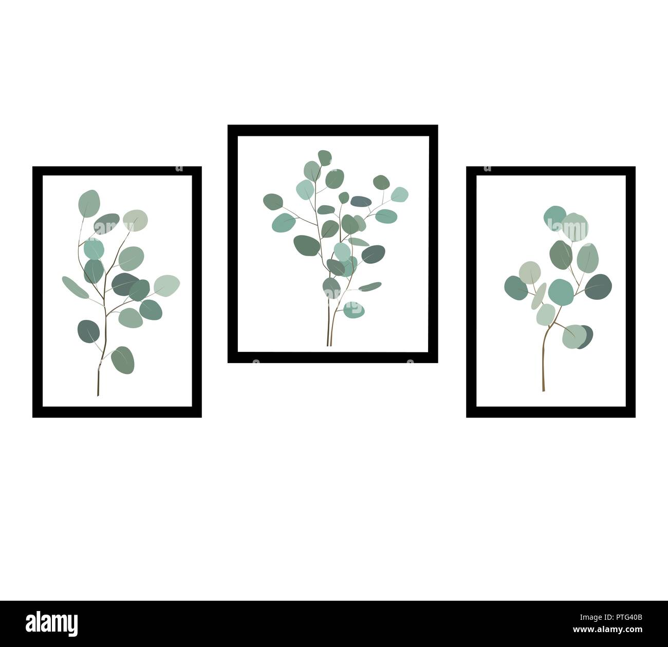 Des photos ou des affiches avec des eucalytus branches. L'élément de conception pour votre pièce virtuelle. Mur intérieur arrière-plan. Vector illustration set Illustration de Vecteur
