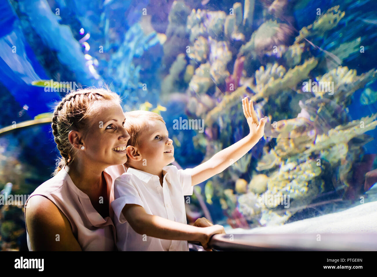 La mère et le fils de regarder la vie dans la mer oceanarium Banque D'Images