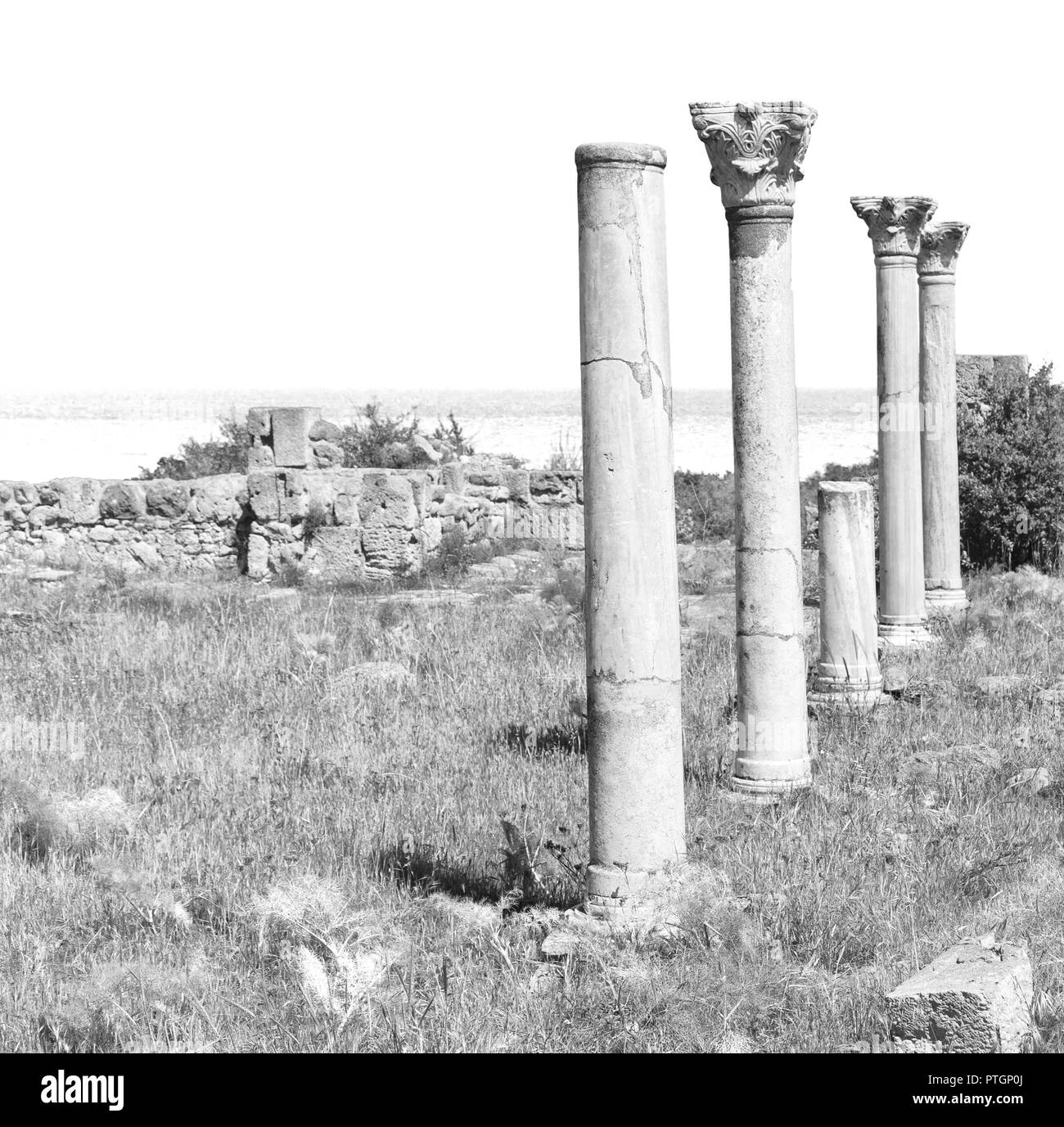 Dans le nord de Chypre la ville antique et les ruines de Salamine histoire et tradition Banque D'Images