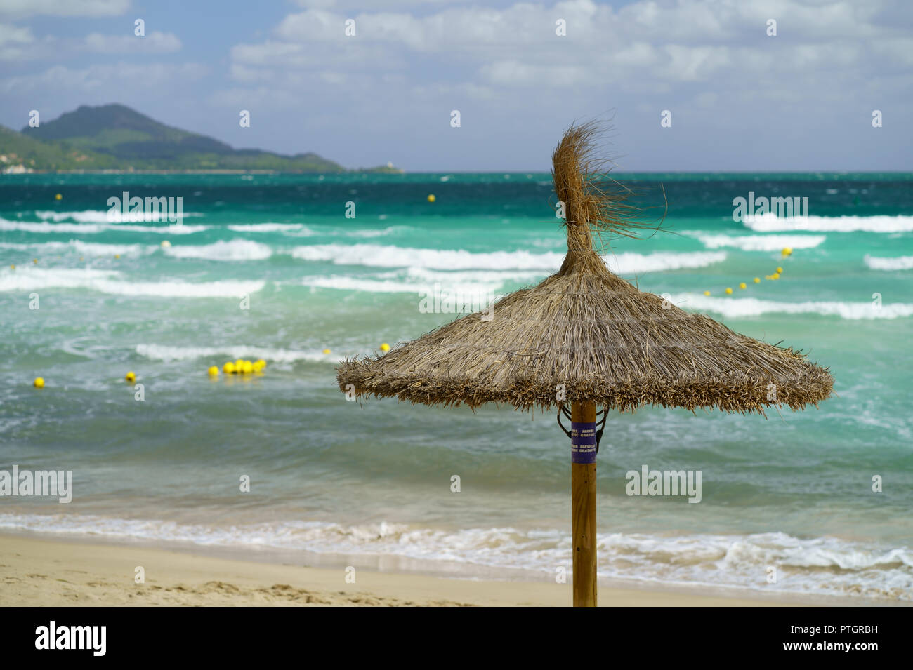 Parapluie de paille sur la plage, Playa de Muro, Alcudia, Mallorca, Espagne Banque D'Images