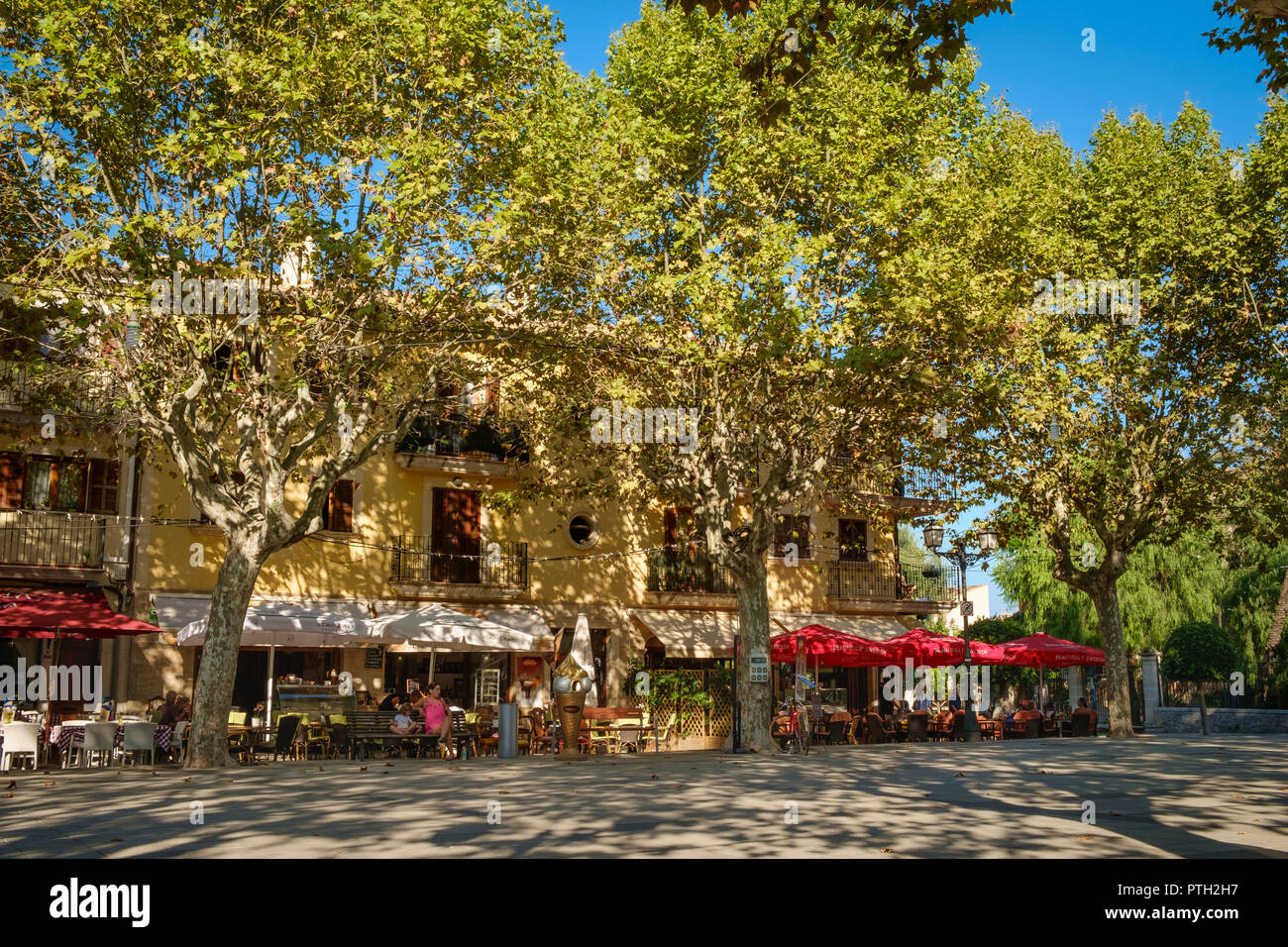 Cafés à l'ombre des platanes de la place ensoleillée dans une ligne d'Artà, Mallorca, Espagne. Banque D'Images