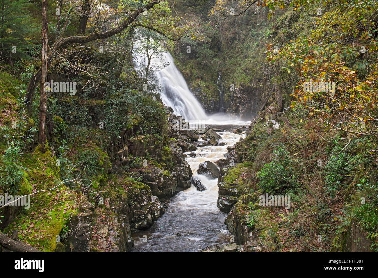 Pistyll Cain sur la cascade d'Afon (rivière) Gain dans le Coed y Brenin Dolgellau Forêt près du Parc National de Snowdonia au nord du Pays de Galles UK Octobre 3345 Banque D'Images