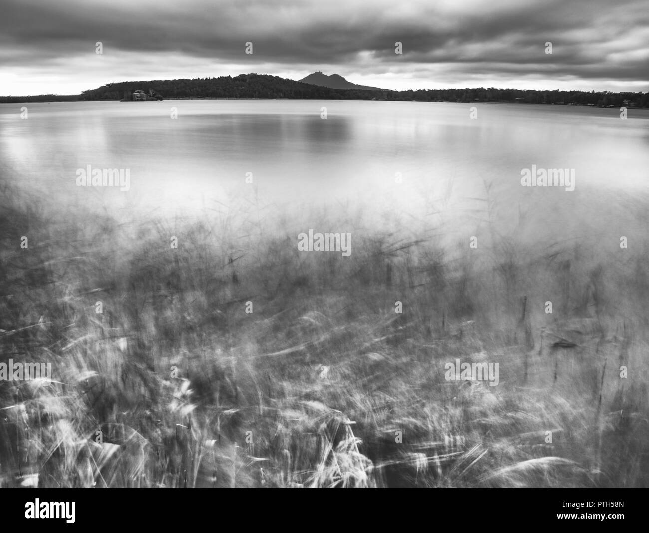 Vue d'automne sur l'étang de bas niveau à forest hill sur l'autre rive. L'atmosphère mélancolique de l'automne. Longue exposition. Photo en noir et blanc. Banque D'Images