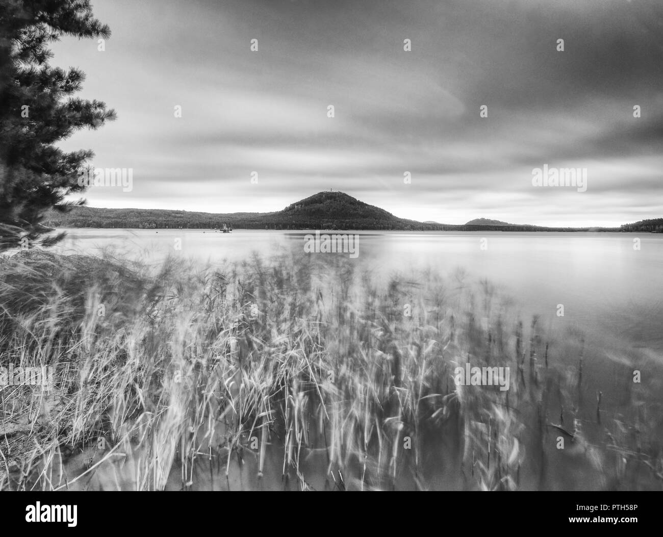 Vue d'automne sur l'étang de bas niveau à forest hill sur l'autre rive. L'atmosphère mélancolique de l'automne. Longue exposition. Photo en noir et blanc. Banque D'Images