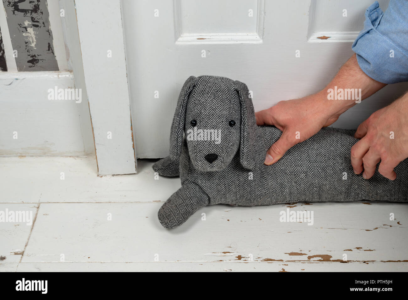 Personne mettant un chien en forme d'exclude de tirage devant une porte. Banque D'Images