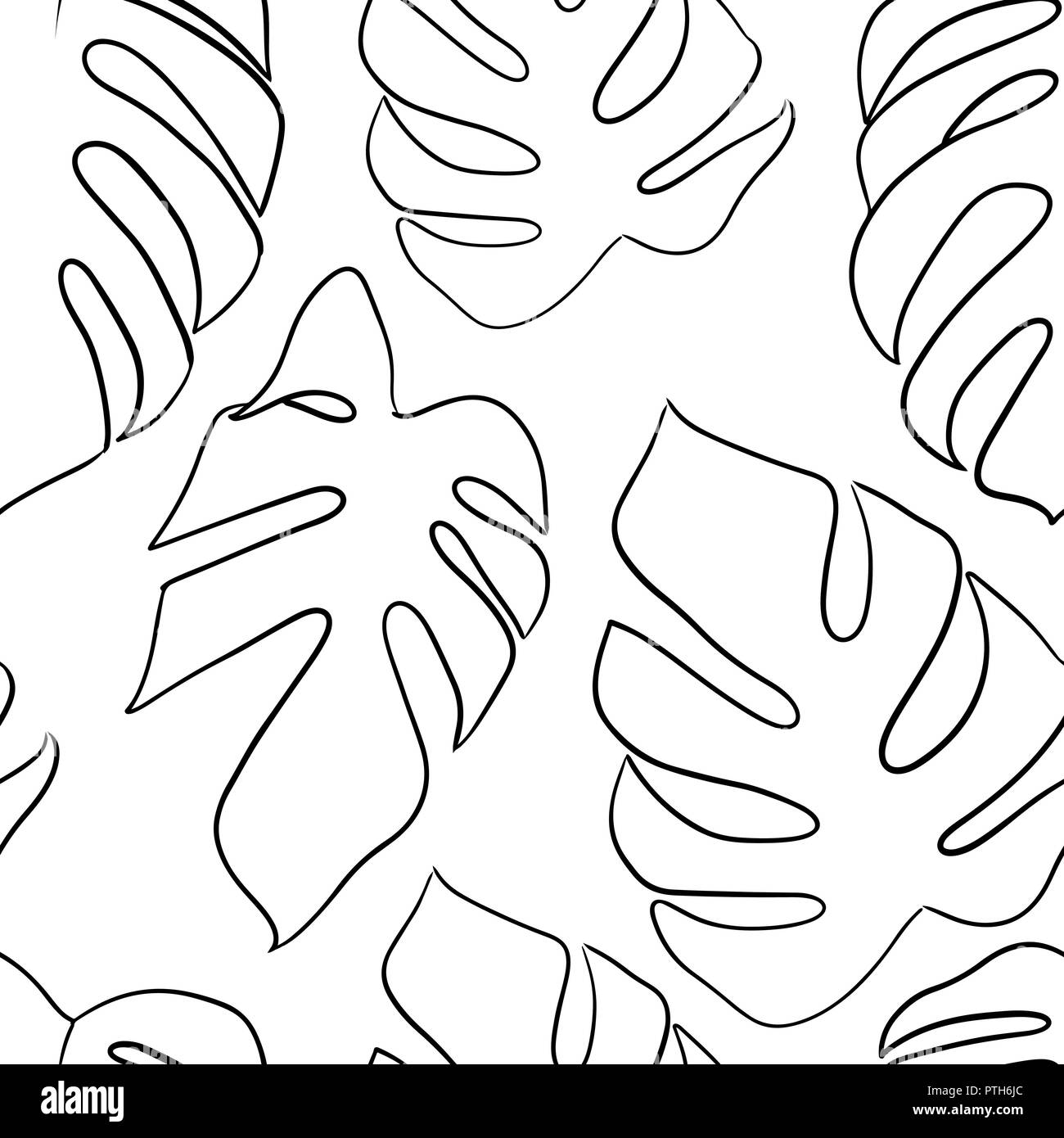 Feuilles de Monstera set. Les feuilles tropicales ossature isolé sur fond blanc. Vector illustration. Illustration de Vecteur