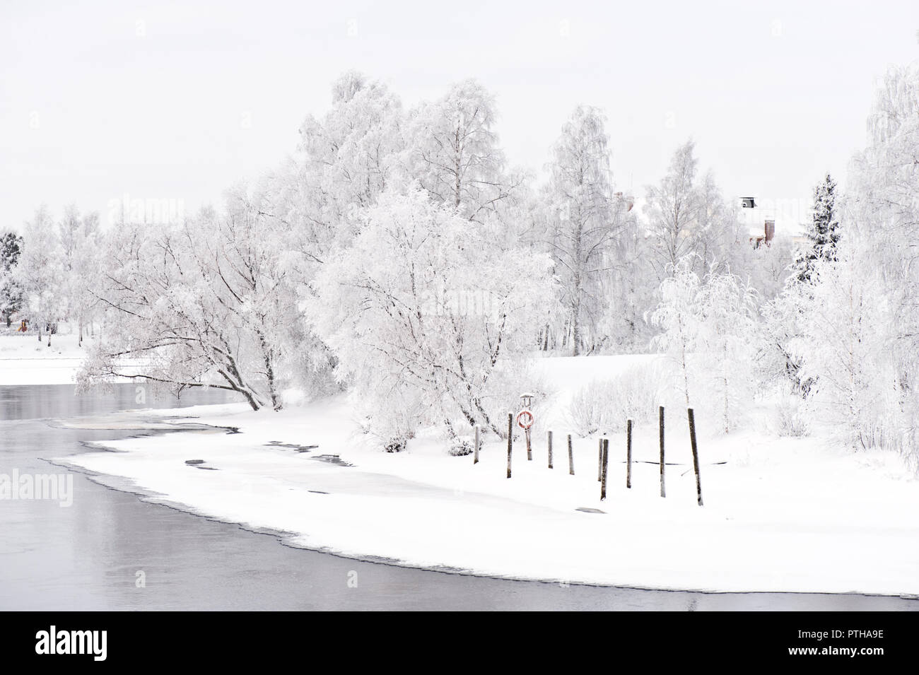 Rivière d'hiver paysage avec arbres couverts de givre sur la berge. Banque D'Images
