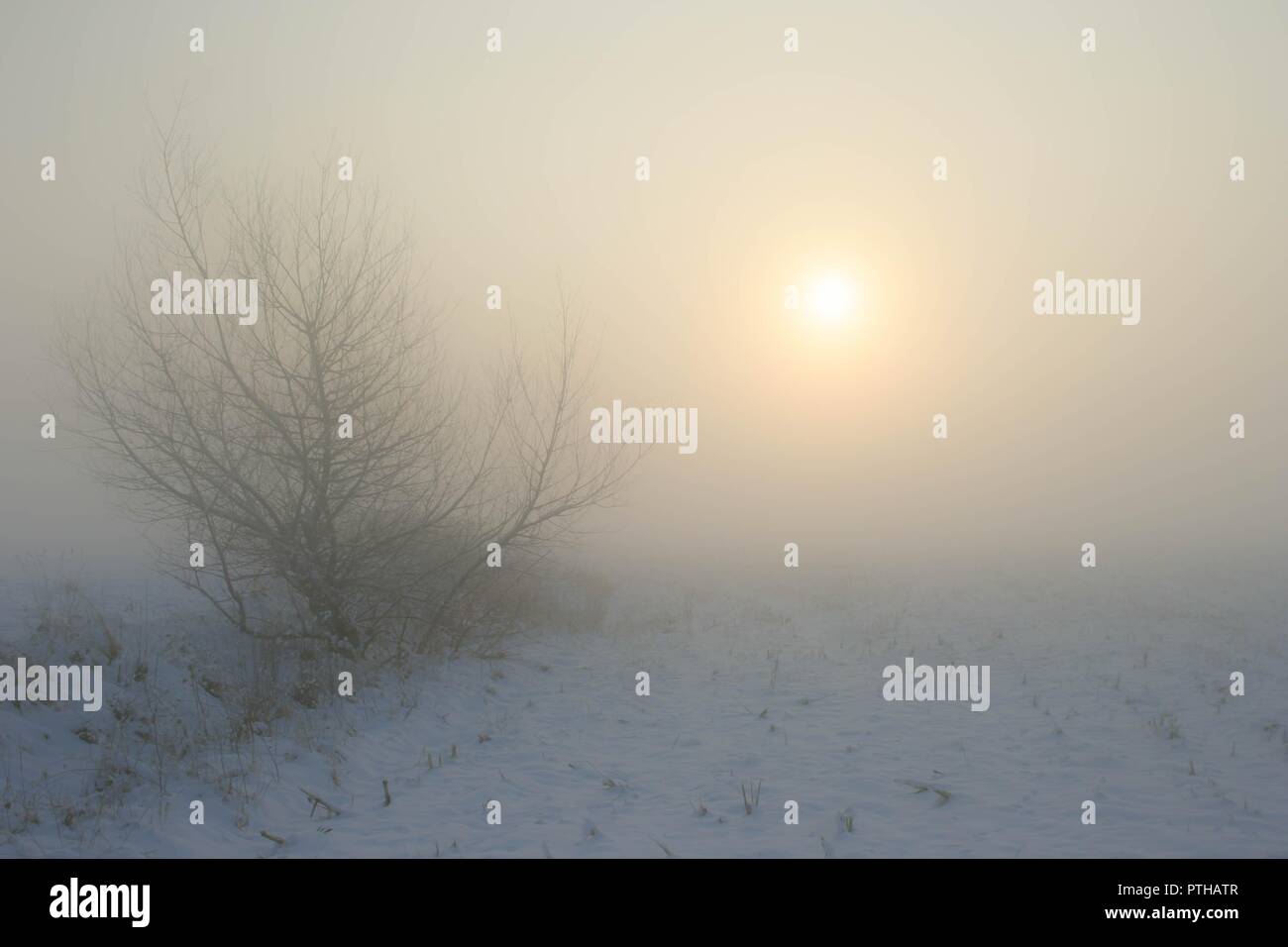En hiver, le brouillard de la vallée à venir en Transylvanie, Roumanie Banque D'Images