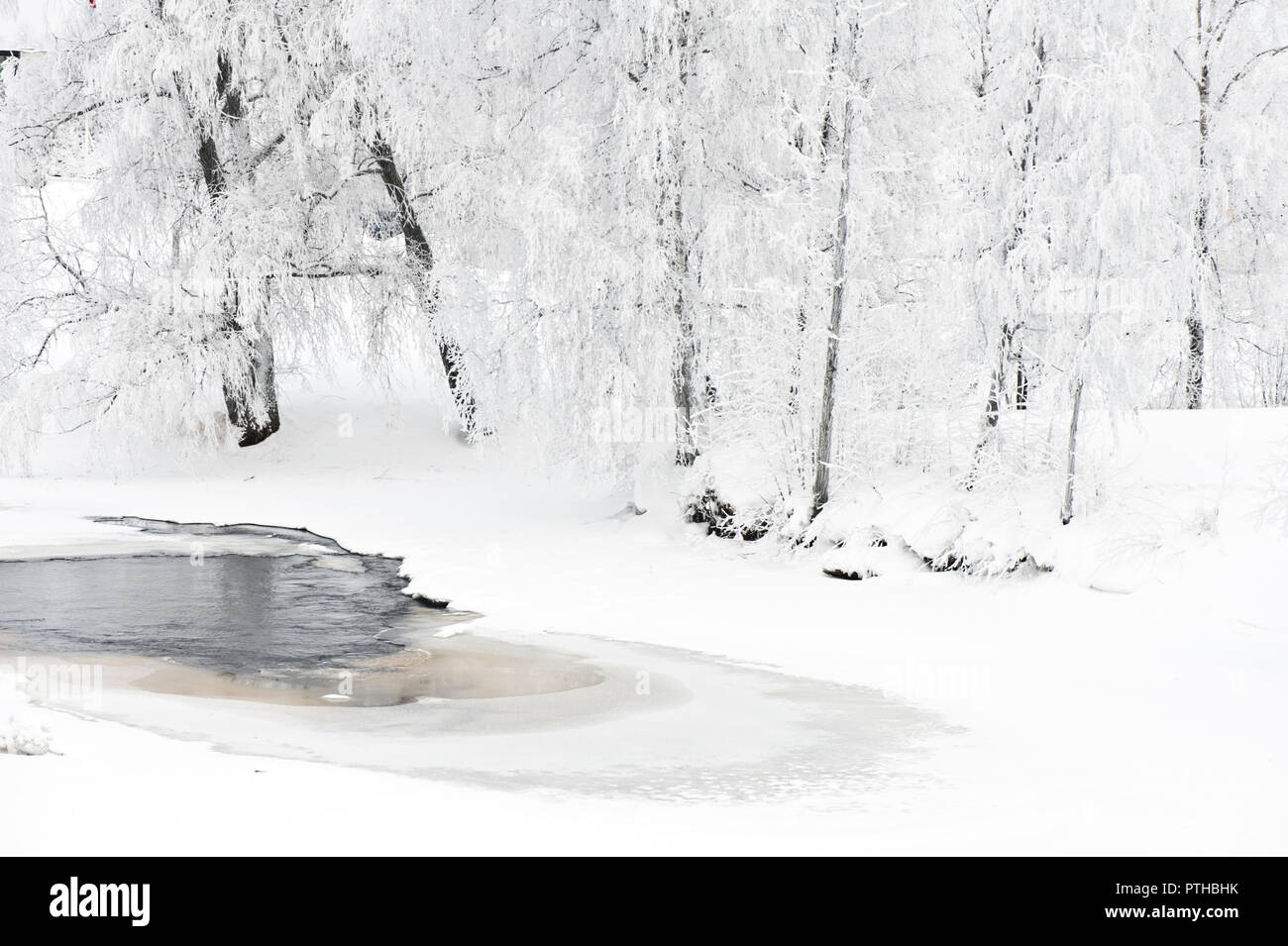 Rivière d'hiver paysage avec arbres couverts de givre sur la berge. Banque D'Images