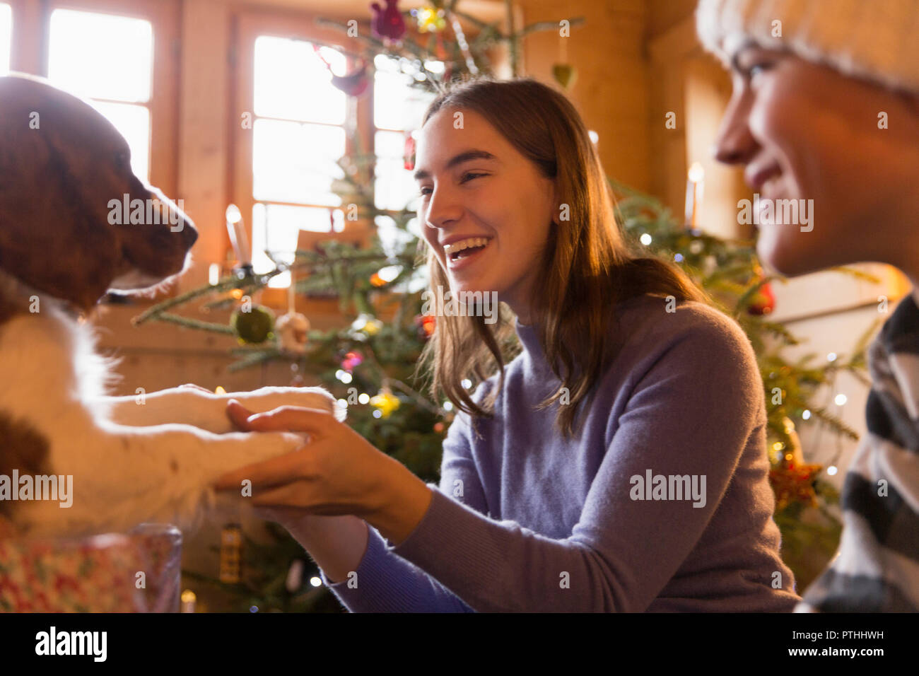 Happy brother and sister Playing with dog in salon de Noël Banque D'Images