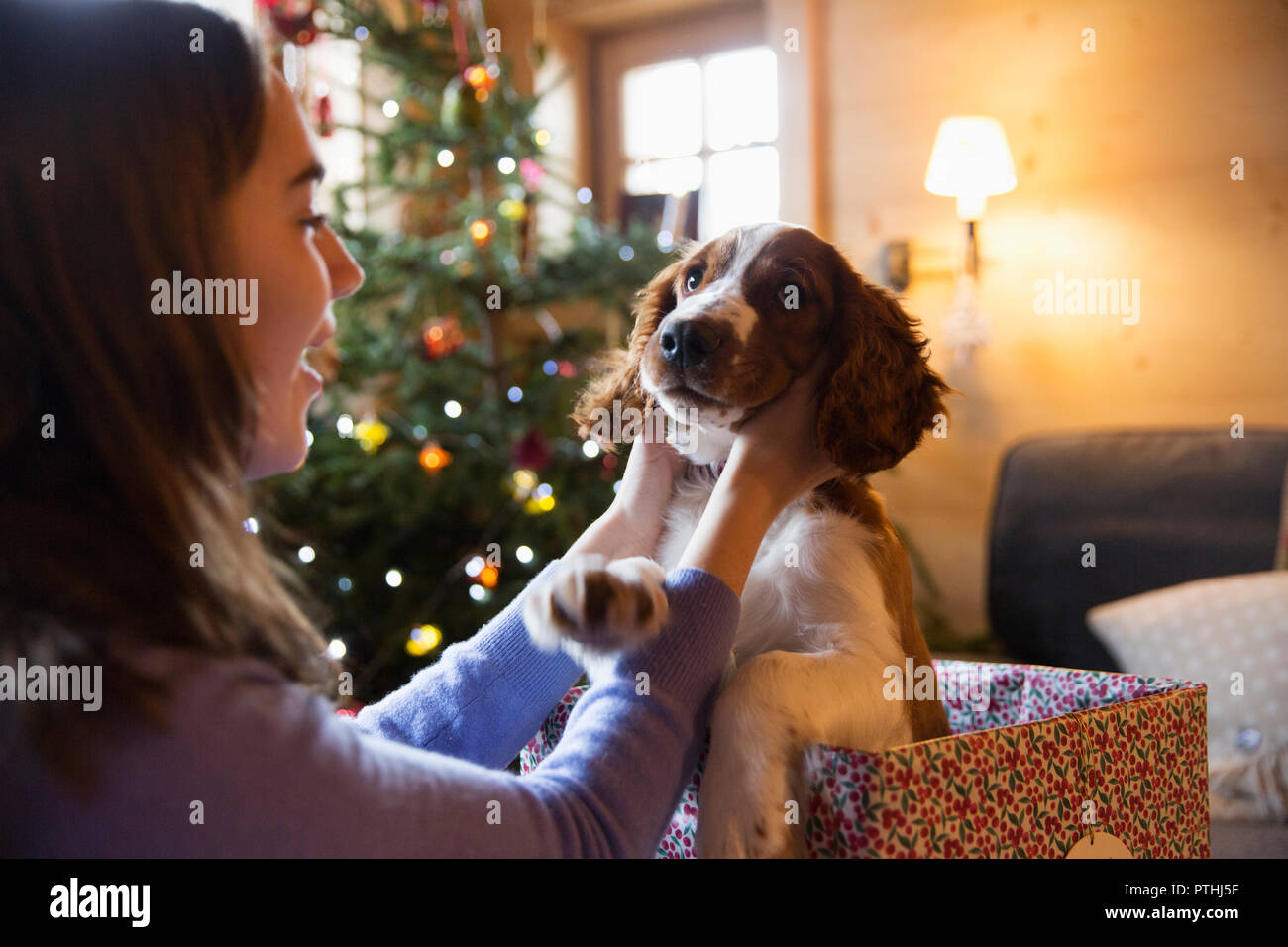 Teenage girl petting cute dog in Christmas gift box Banque D'Images