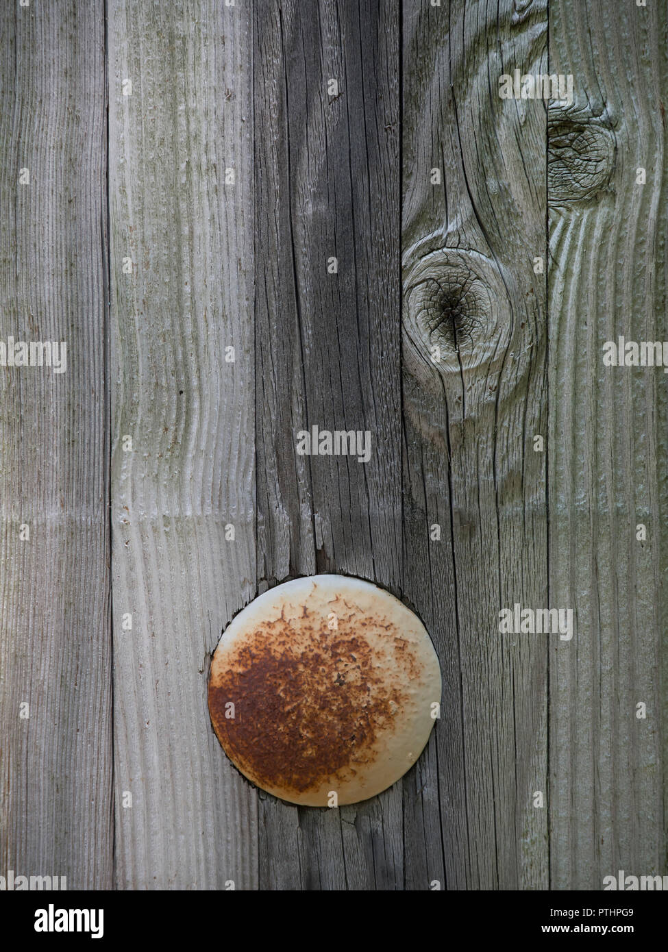 Close-up of weathered wood avec tête de vis rouillées Banque D'Images