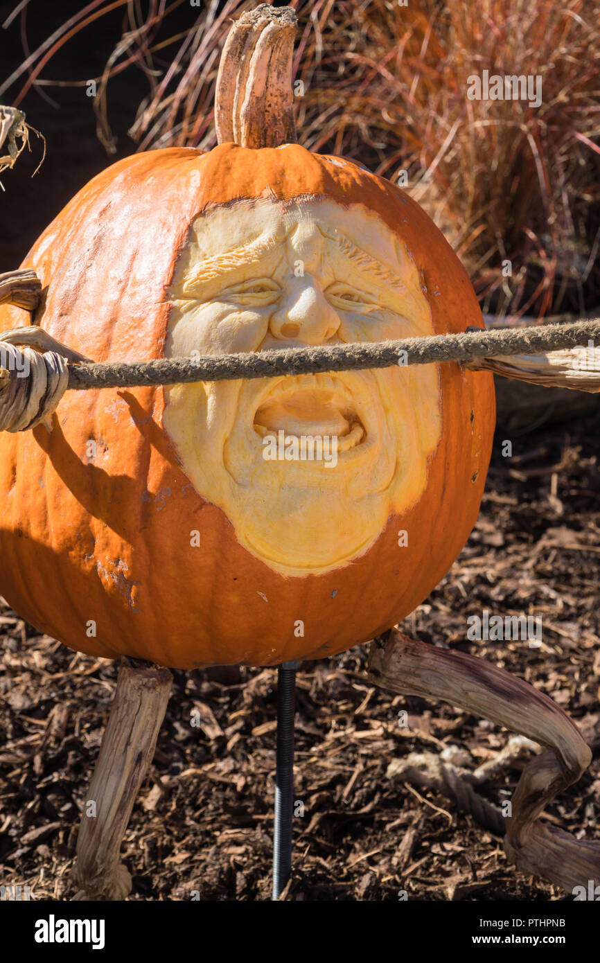 L'expression d'un homme tendu creusé dans une citrouille, il tire sur une corde, Malvern Autumn Show, septembre 2018. Banque D'Images