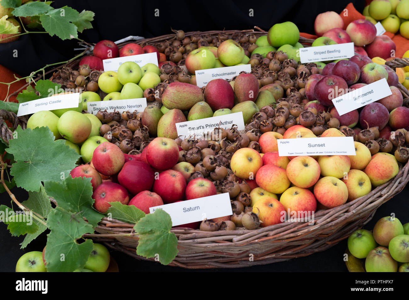 Exposition de variétés de pommes d'automne. ROYAUME-UNI Banque D'Images