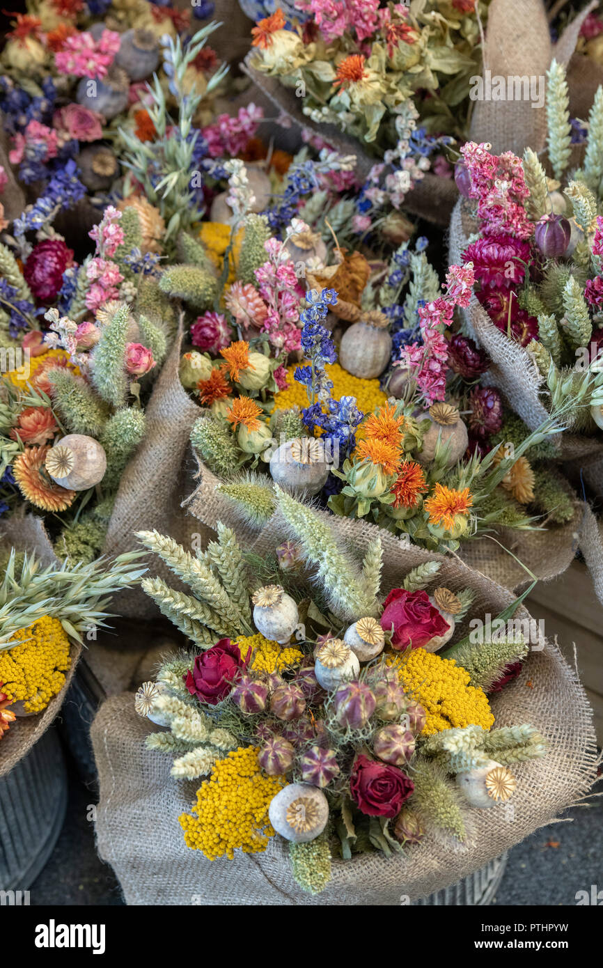 Bouquets De Fleurs Séchées Aux Couleurs Vives Affichage