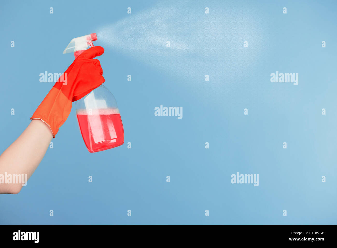 Gant en caoutchouc rouge dans la main est titulaire d'un flacon pulvérisateur en plastique avec du détergent de nettoyage et la pulvérisation de produits de nettoyage sur fond bleu Banque D'Images
