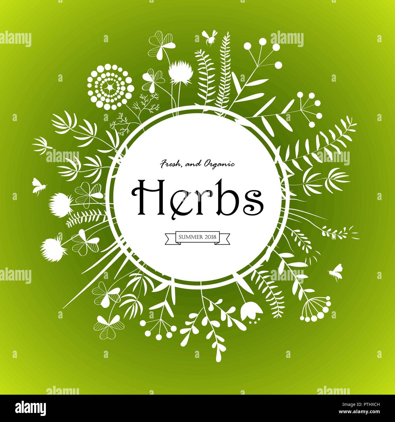Conception de cartes d'herbes. Heureux printemps ou été fond vert et texte floral frame, vector illustration. Illustration de Vecteur