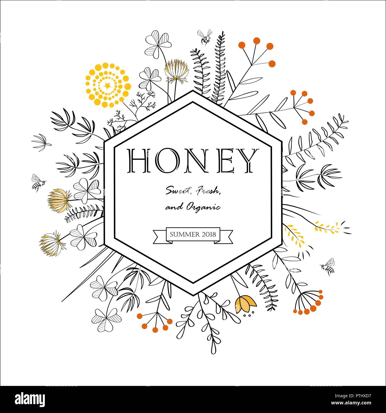 Châssis avec du miel et des abeilles fleurs doodle. Illustration vecteur floral. Graphique des plantes de prairie Illustration de Vecteur