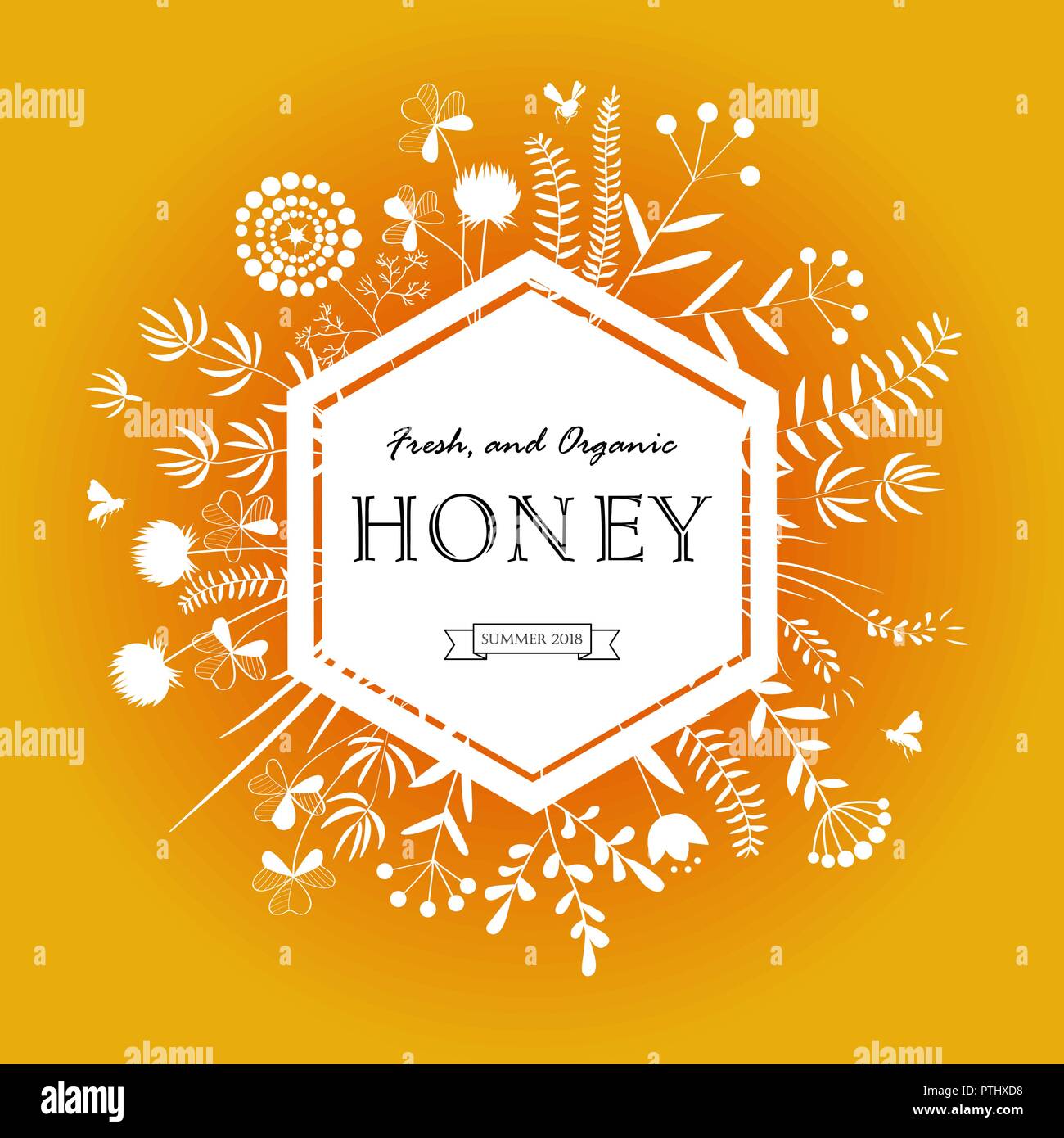 Châssis avec du miel de fleurs et les abeilles. Illustration vecteur floral. Les plantes de prairie silhouette blanche Illustration de Vecteur