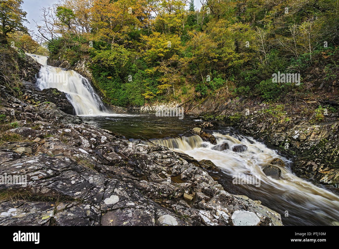 Cascade de Rhaeadr Mawddach sur thr Afon (rivière) Mawddach dans le Coed y Brenin Dolgellau Forêt près du Parc National de Snowdonia au nord du Pays de Galles UK Octobre 275 Banque D'Images