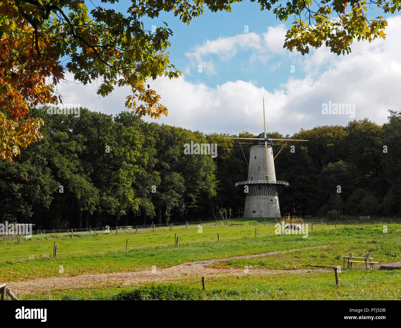 Dans le Dutch open air museum à Arnhem, typique des bâtiments historiques sont recueillies et peut être visité. C'est un très grand moulin, moulins comme ces Banque D'Images