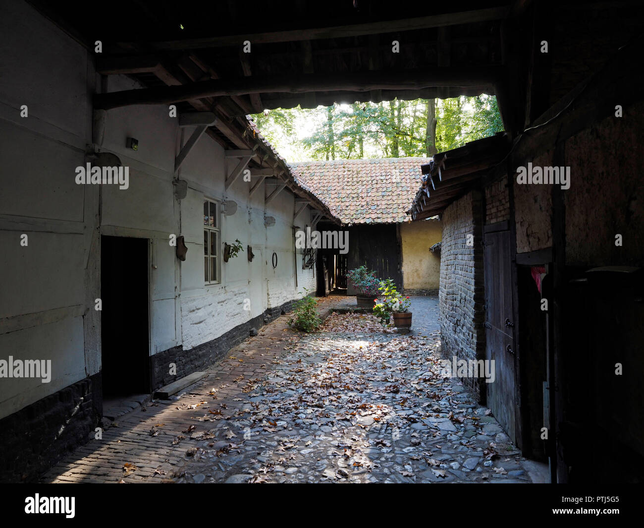 Cour d'une ferme traditionnelle Limbourg photographié dans le Dutch open air museum à Arnhem, un parc où le néerlandais bâtiments historiques sont recueillies. Banque D'Images