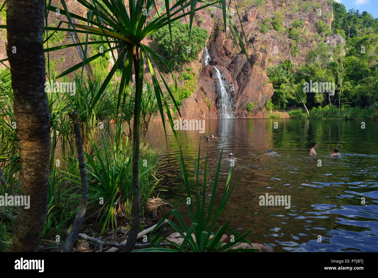 Wangi Falls, Litchfield National Park, Territoire du Nord, Australie Banque D'Images