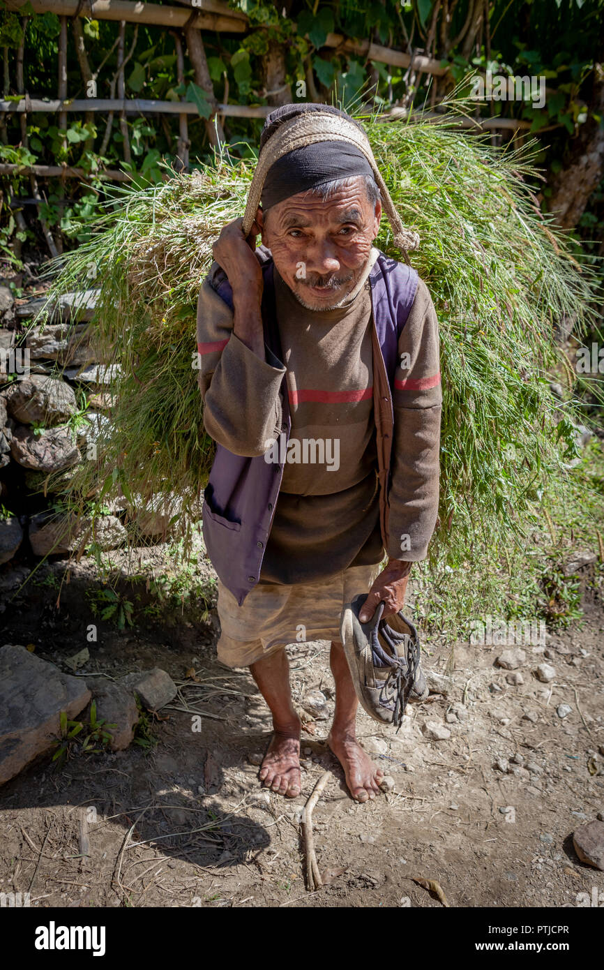 Un agriculteur local transportant une récolte vers le village. Banque D'Images